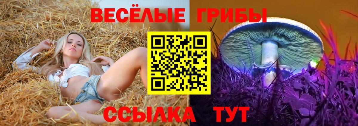 Псилоцибиновые грибы мицелий  Псилоцибиновые грибы Cubensis  Надым  Вход с VPN 