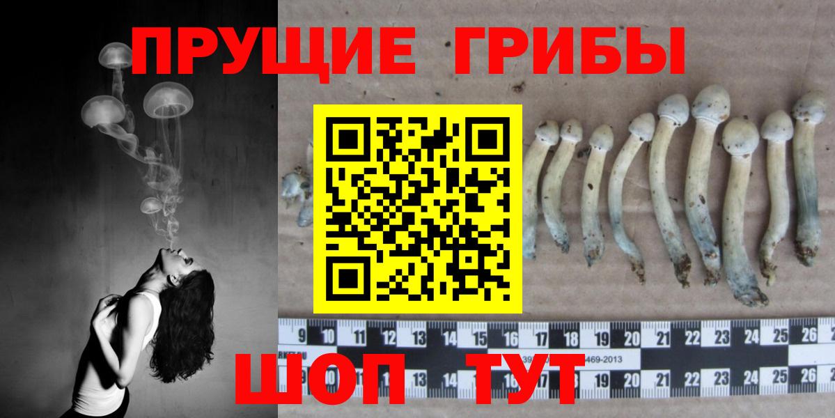 Галлюциногенные грибы Magic Shrooms Надым